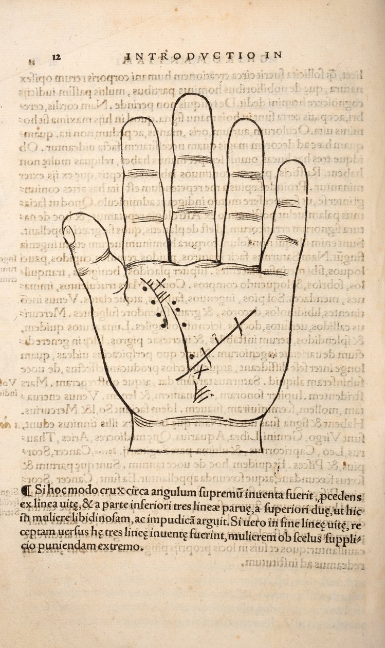 Illustration fra Chiromantia af Joannes Indagioe, Strasbourg, 1531 (tryk og gravering) af French School
