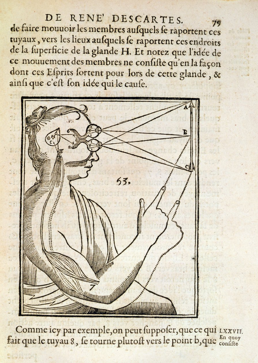 Illustration fra De Homine Figuris af Rene Descartes (1596-1650) udgivet i Haag, 1662 af French School