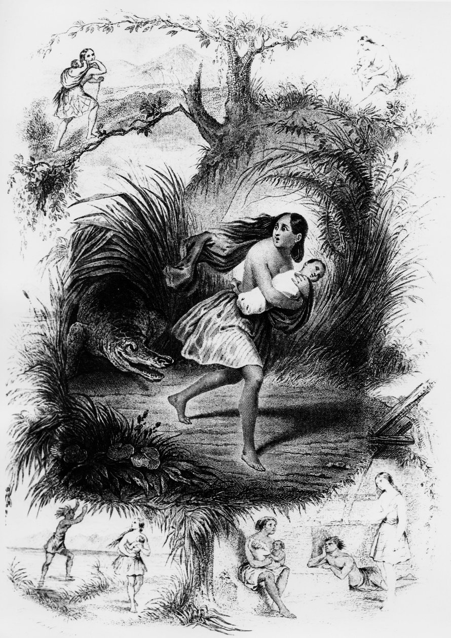 Illustration af romanen "Les Natchez" af Francois Rene de Chateaubriand af French School