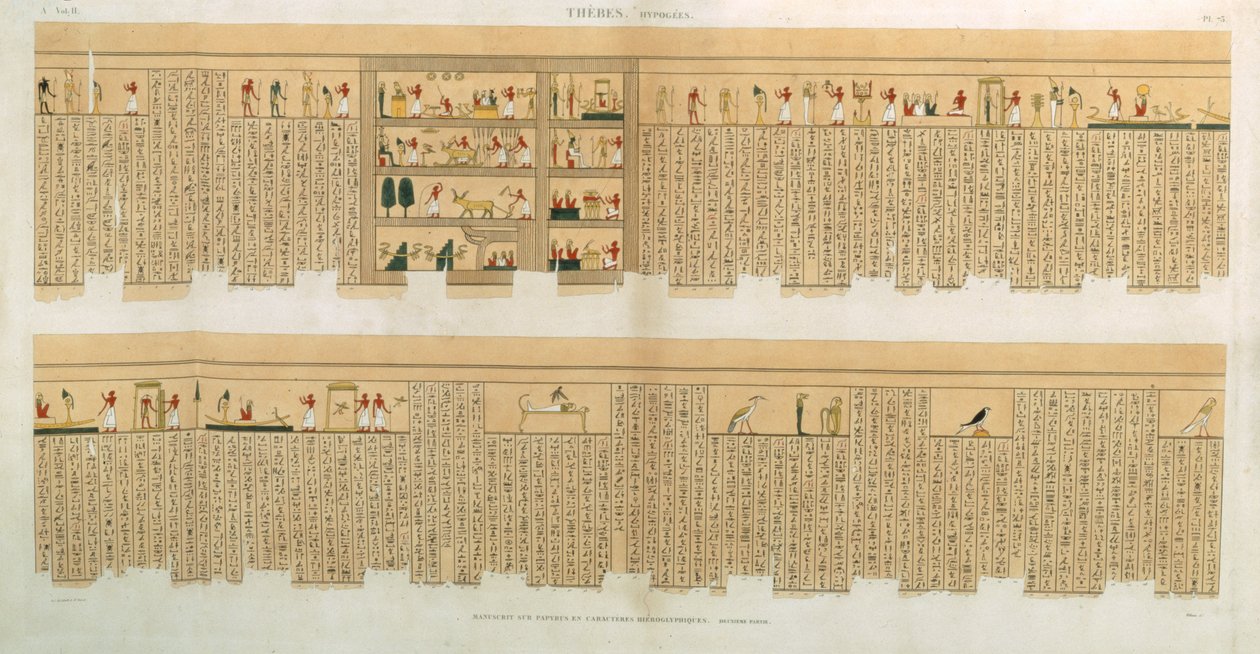 Illustrationer af et Pampus-manuskript med hieroglyffer, Hypogees, Theben, plade 75 fra bind II af `Descriptions of Egypt`, indgraveret af Willemin, pub. 1822 (akvatint) af French School