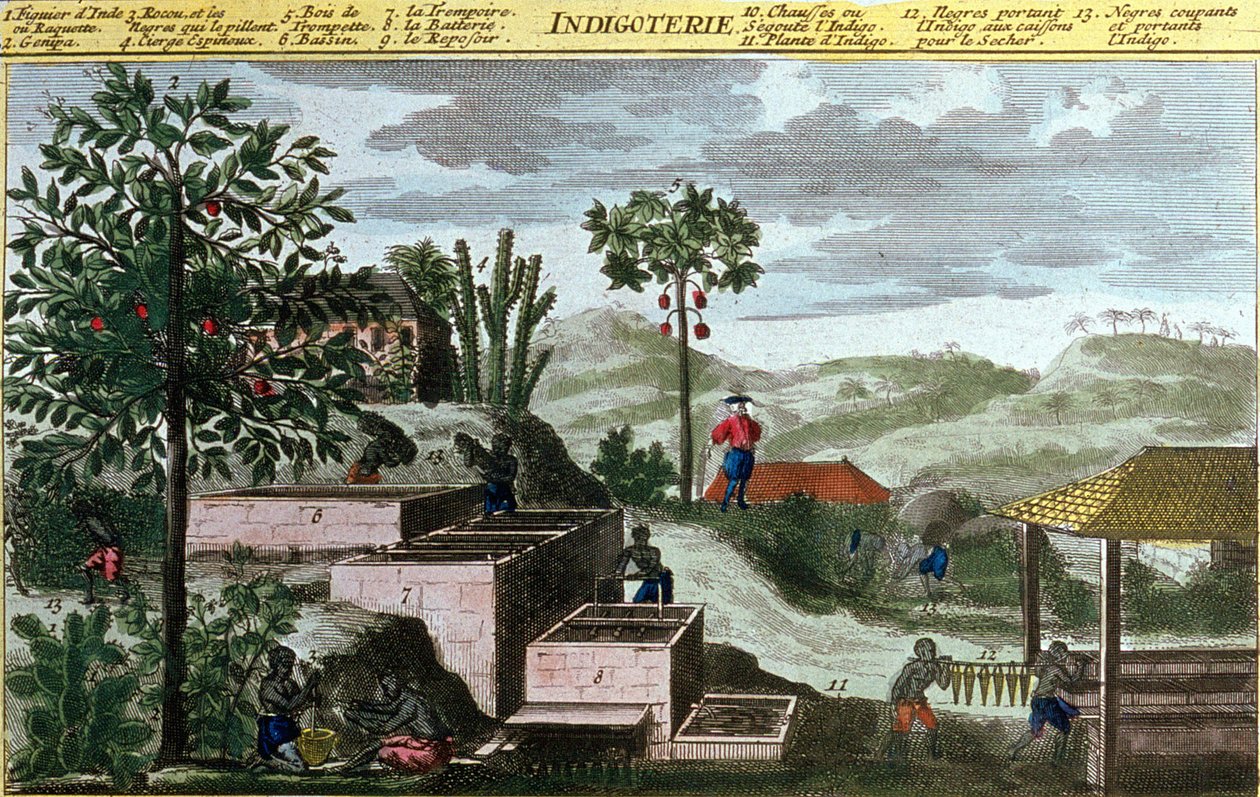 Indigoterie i Vestindien, detalje fra 00155 - i "" Generel historie om Antillerne beboet af franskmændene af Du Tertre", tidligt i det 19. århundrede af French School