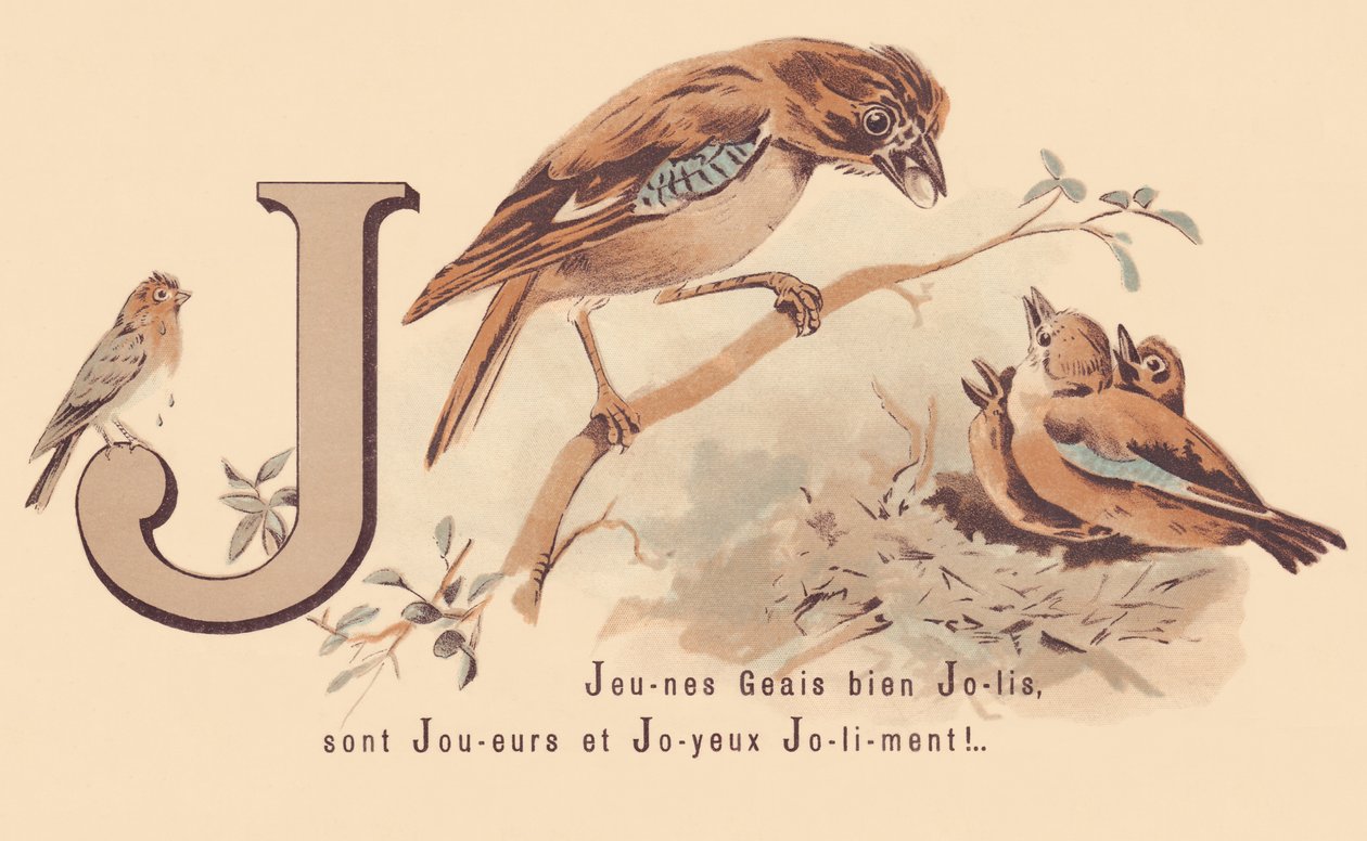 J: Young Jays Pretty er spillere og glad Jolily! af French School