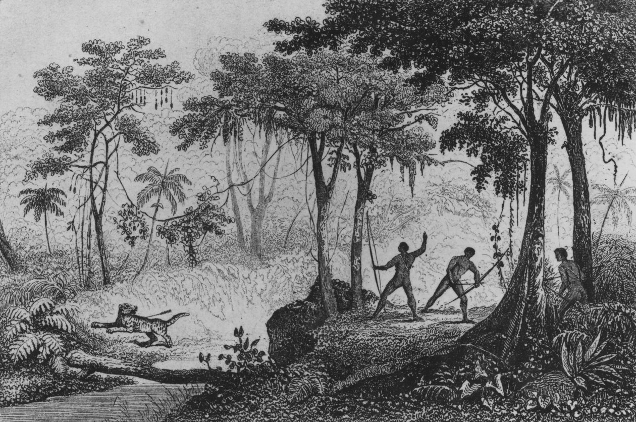 Jaguar Hunt, fra 