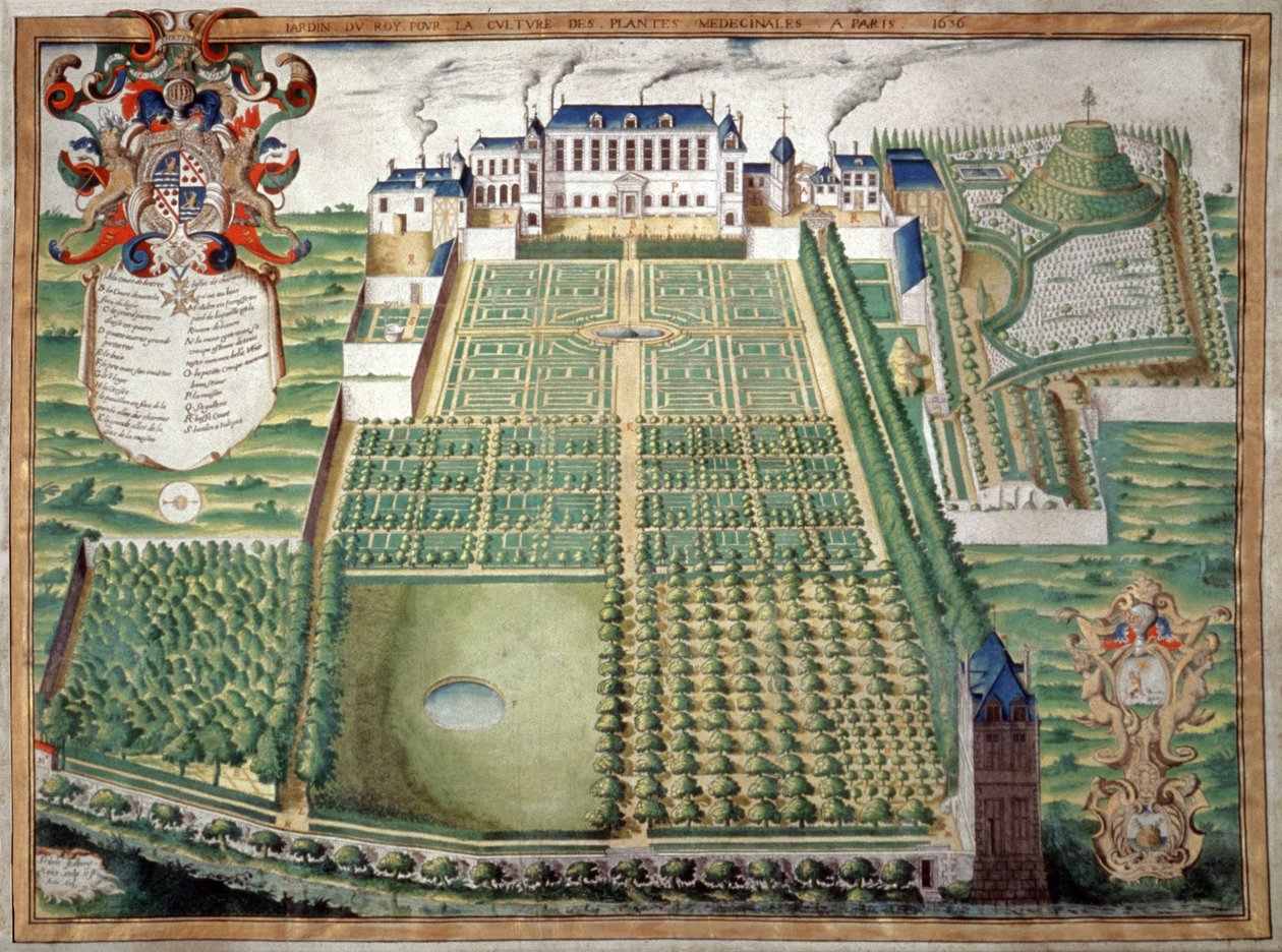 Jardin des Plantes, Paris. 1636 (akvarel) af French School