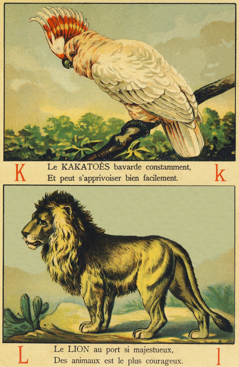 K som Kakatoes og L som løve af French School