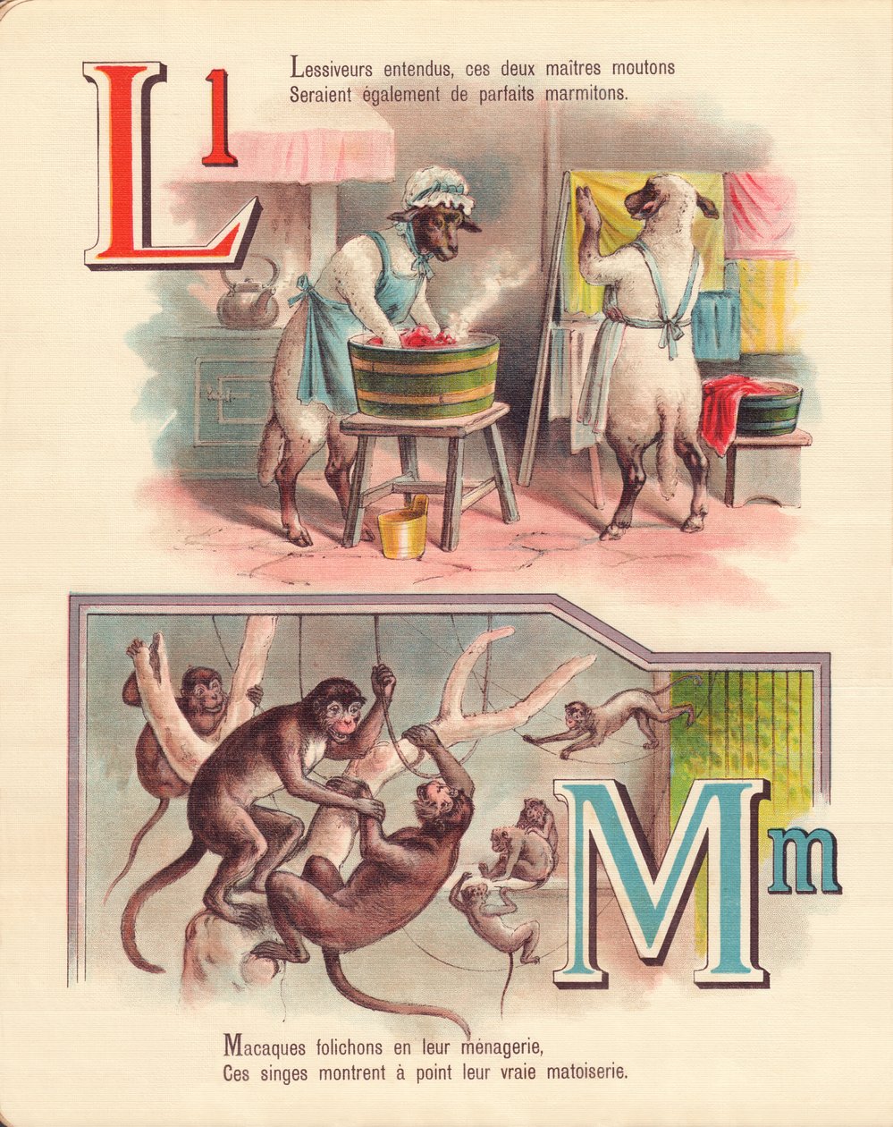 L M: Lam, vasketøj, aber, menageri af French School