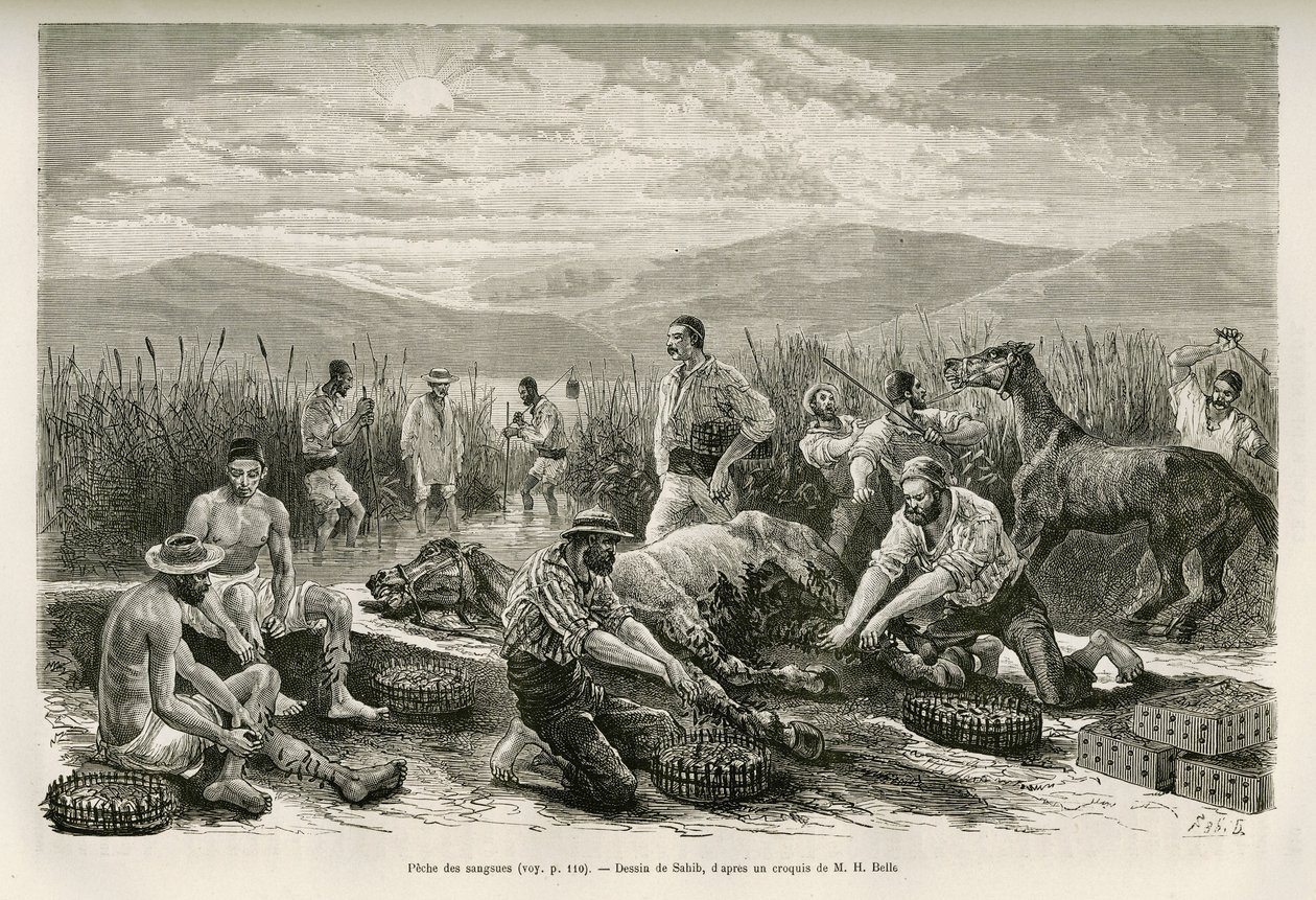 The Fishing of the Leeches, tegnet af Sahib, for at illustrere historien om Henry Belle: Travel in Greece af French School