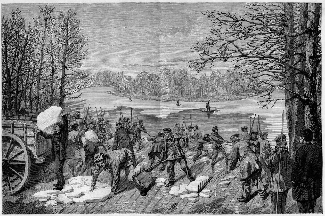 Høsten af ​​is på de frosne søer i Bois de Vincennes, i "The Illustrous World"" 1887. af French School