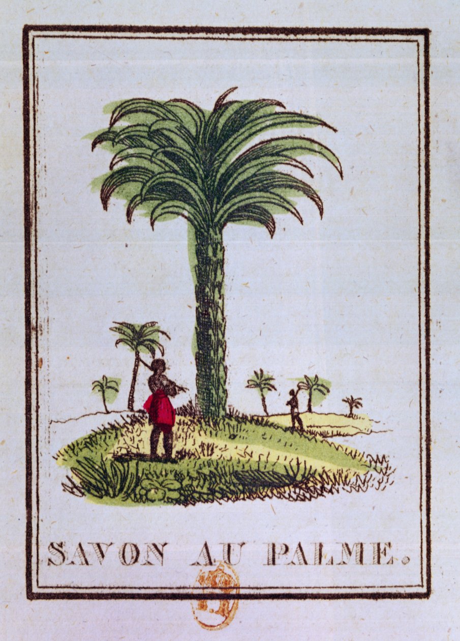 Etiket til en palmeolieduftende sæbe, der viser et palmetræ af French School
