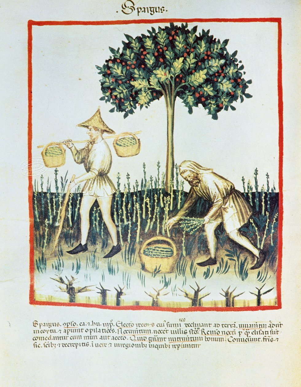 Lat. 9333 folio 23v 