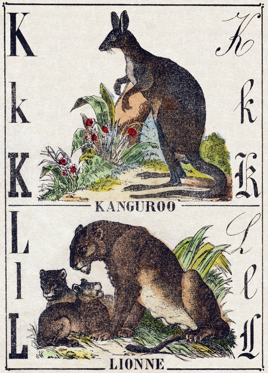 Bogstav K L; K Kanguroo; Løvinden. Indgravering i "Wild Animals Alphabet". 9. serie. Billeder af Epinal, Pellerin, trykkeri-udgiver, ca. 1870. Graveringer på træ, stencileret. 16 sider. Størrelse: 20 x 15 cm. Privat samling af French School