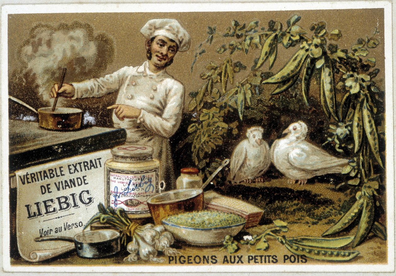 Liébig opskrifter: duer med ærter - chromo. af French School