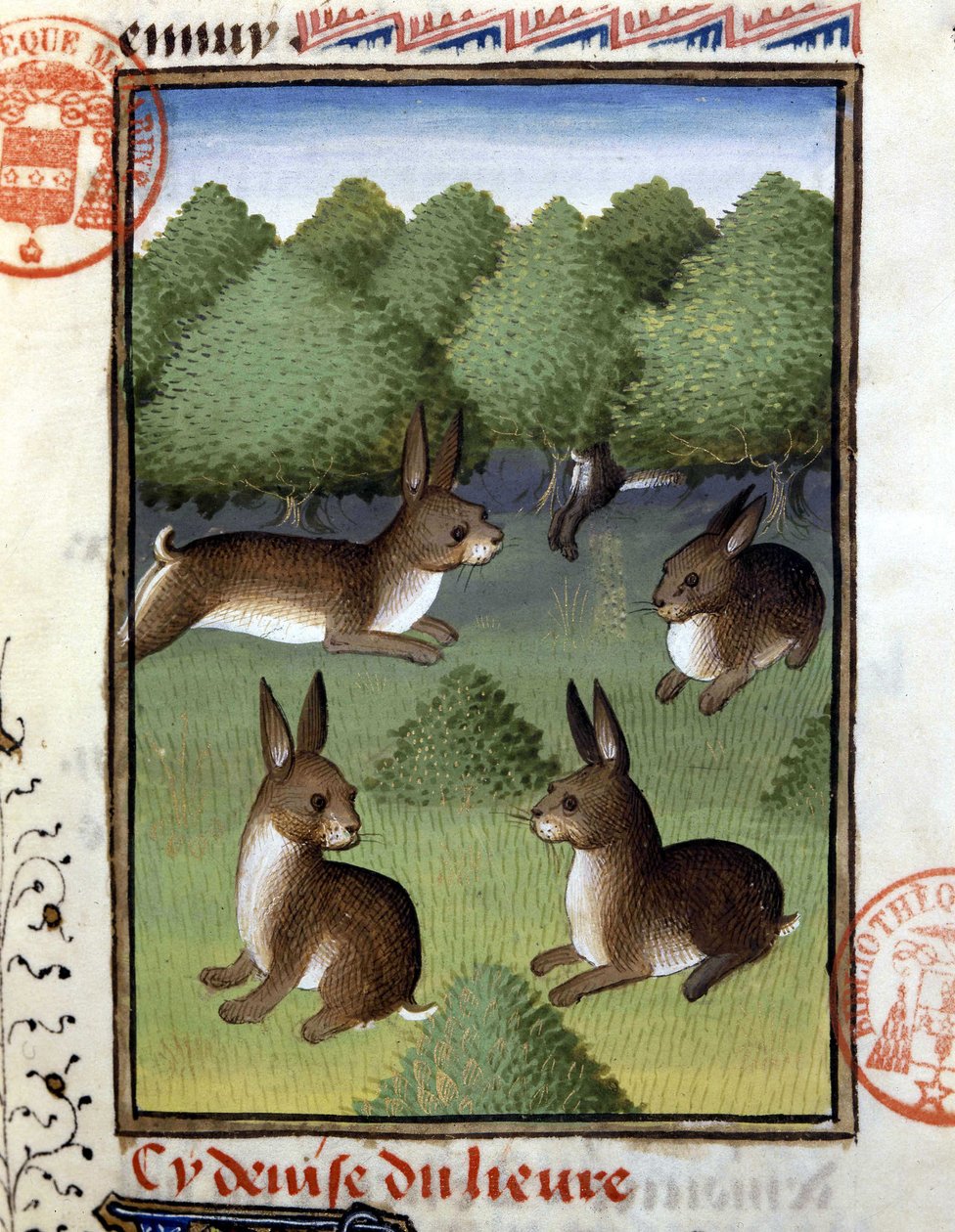 Lievres - i "" Jagtbog af Gaston Phoebus, greve af Foix, Lord of Bearn"" af French School