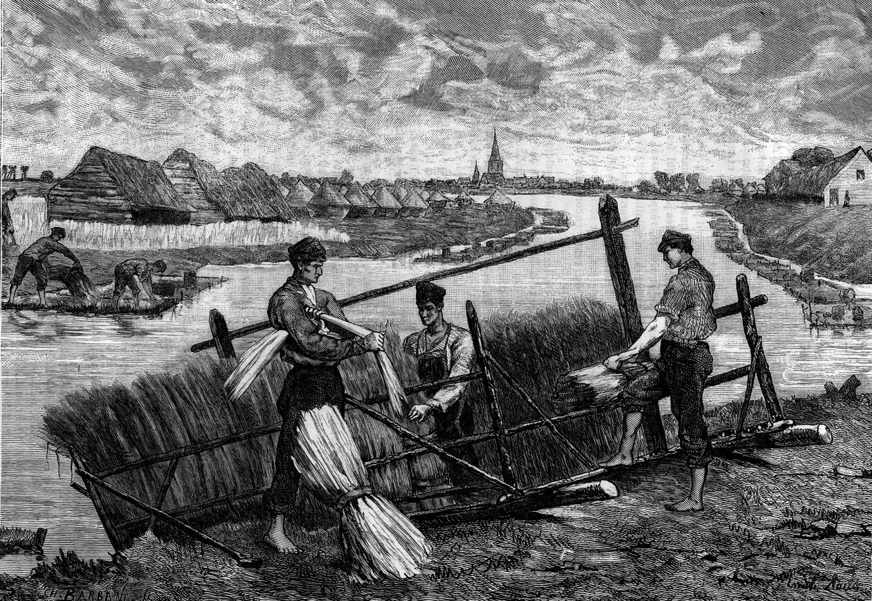 Linned: linned farende i Riviere Lys. Indgravering i "Le Journal de la jeunesse"" af French School