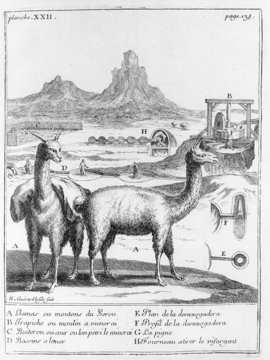 Lamaer og diagrammer vedrørende mineraludvinding, fra Relation du voyage de la mer du sud aux cotes du Chily et du Perou af A.F. Frezier, 1716 af French School