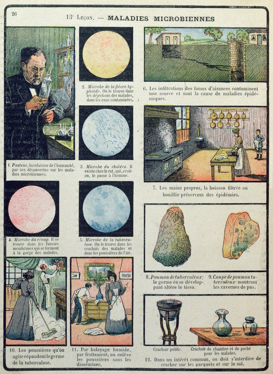 Louis Pasteur (1822-95) og bakterielle sygdomme, fra Les Sciences Physiques et Naturelles, Paris, 1908 af French School