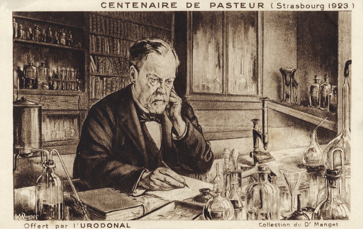 Louis Pasteur af French School