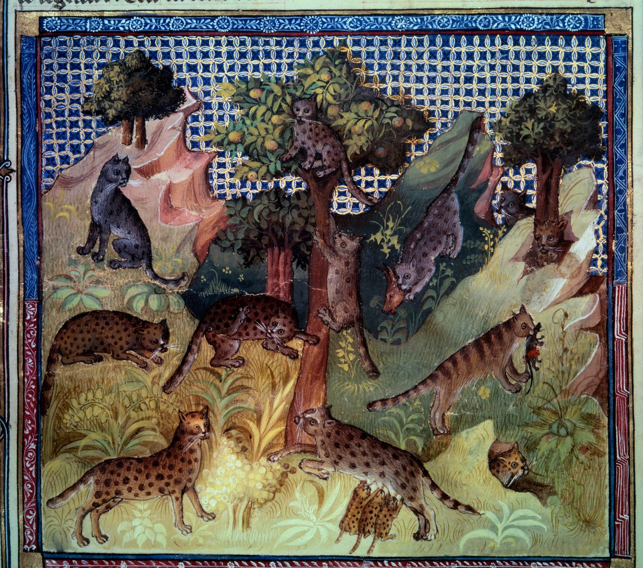 Lynx vilde katte i bjergene. Miniature fra "The book of hunting" af Gaston III Phoebus, greve af Foix, Lord of Bearn (1331-1391) af French School