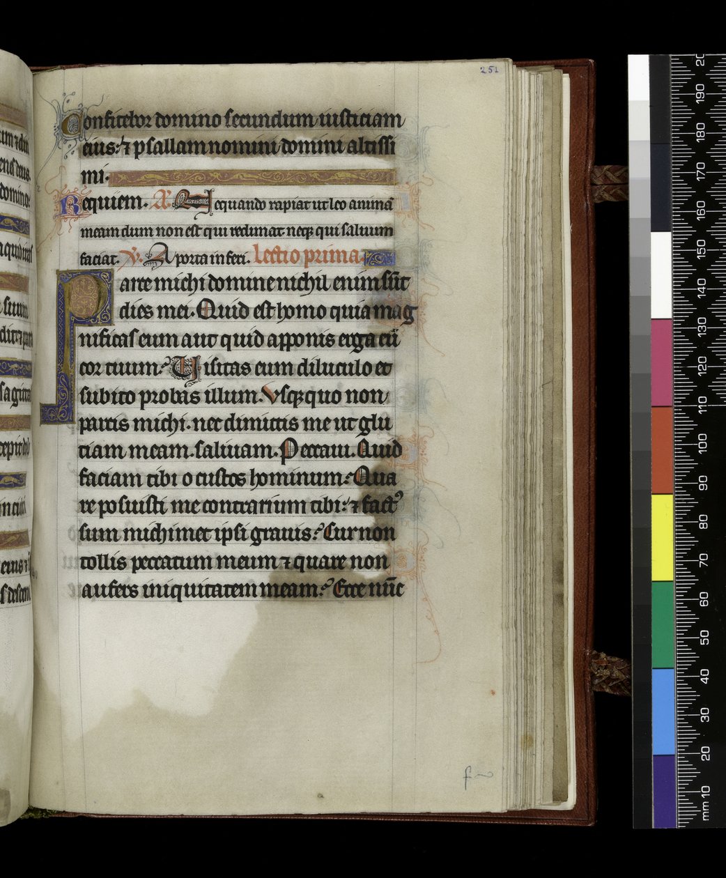MS 300 f.251r, fra Psalter and Hours of Isabella of France, Paris, ca. 1265-70 (pen & blæk og tempera på pergament) af French School