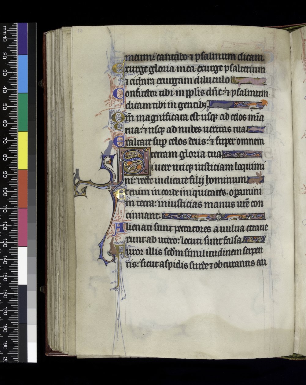 MS 300 f.61v, folio fra Psalter and Hours of Isabella of France, Paris, c.1265-70 af French School