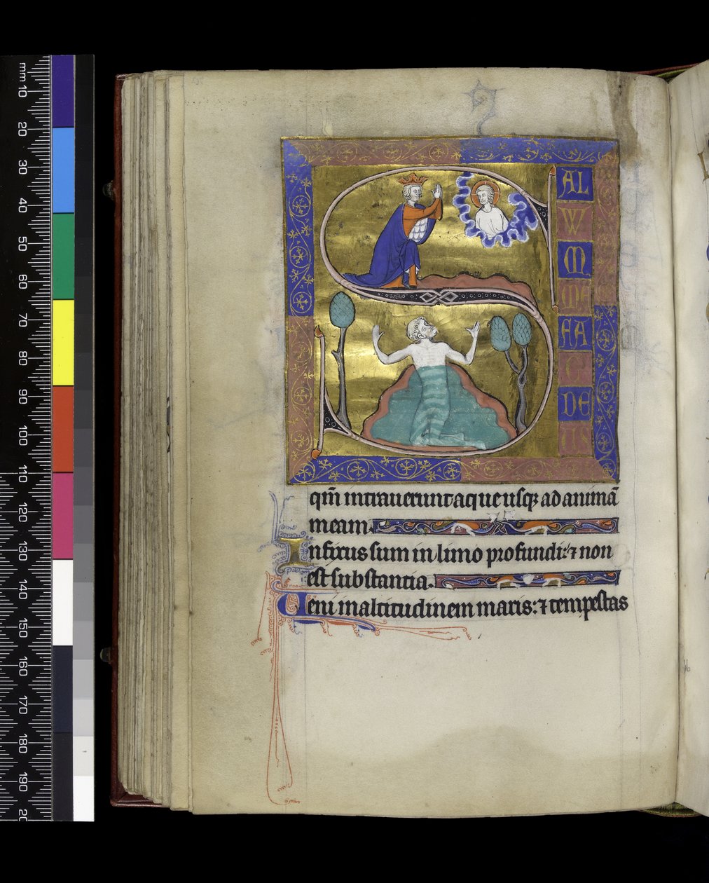 MS 300 f.70v, David beder til Gud (ovenfor), David synker i vand (nedenfor), fra Isabellas Salter og Timer, Paris, c.1265-70 (pen & blæk og tempera på pergament) af French School