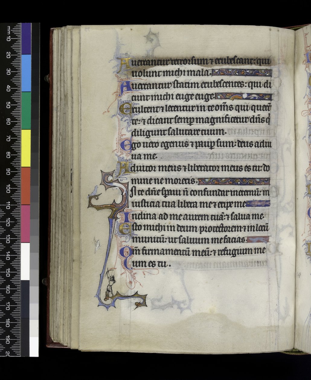 MS 300 f.73v, fra Psalter and Hours of Isabella of France, Paris, c.1265-70 af French School