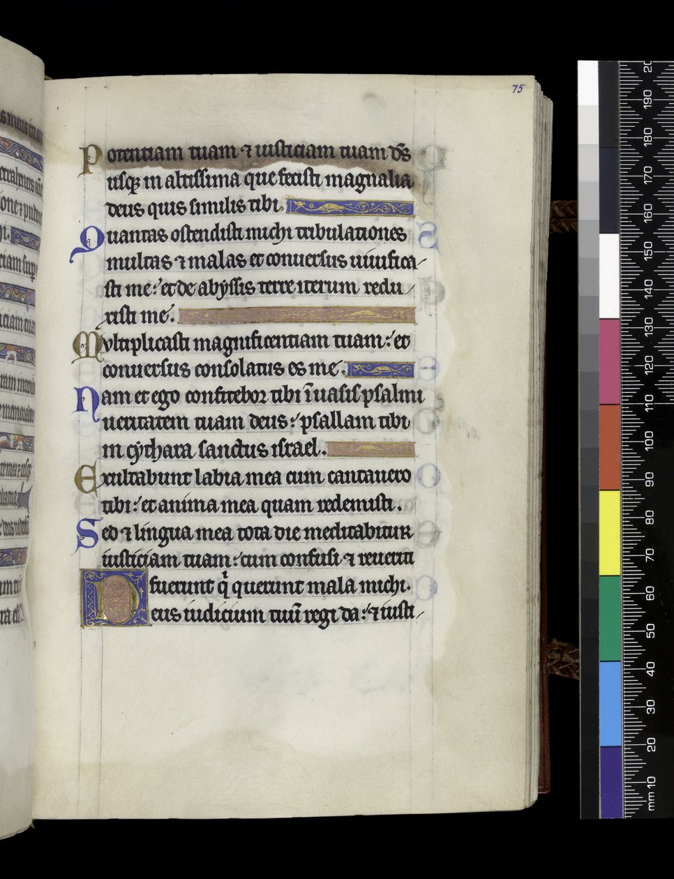 MS 300 f.75r, fra Psalter and Hours of Isabella of France, Paris, ca. 1265-70 (pen & blæk og tempera på pergament) af French School