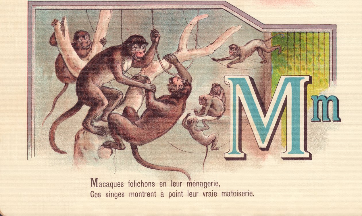 M: Makaker foldere i deres menageri, Disse aber viser deres sande matoiserie af French School