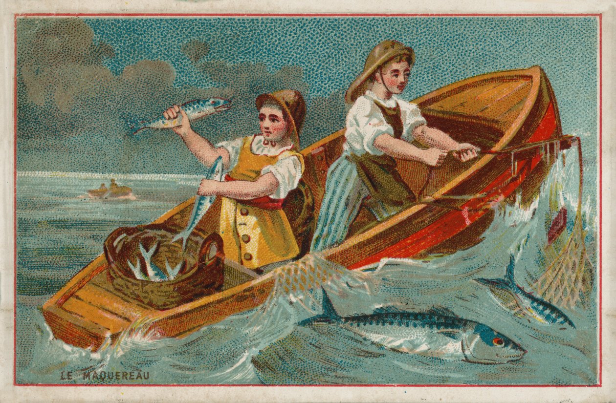 Makrel (chromolitho) af French School