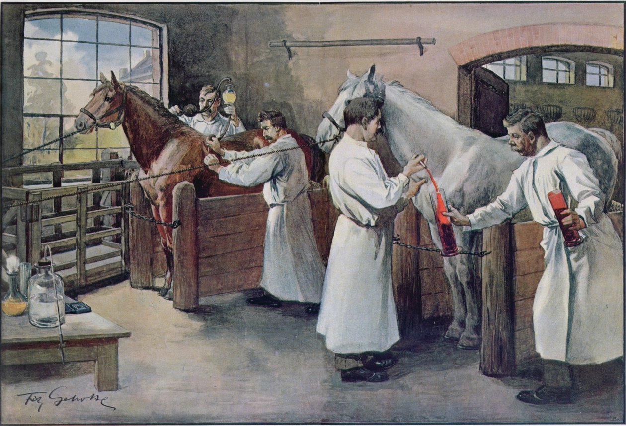 Fremstilling af difteriserum fra hesteblod, fra Les Animaux, ca. 1900 af French School