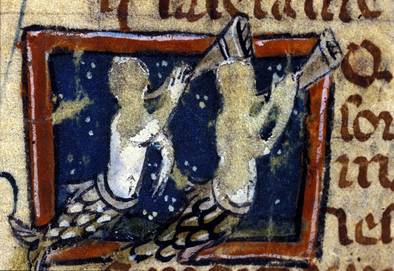 Havfruer repræsenteret i et fransk bestiarium fra det 14. århundrede. Milano, Biblioteca Trivulziana. af French School