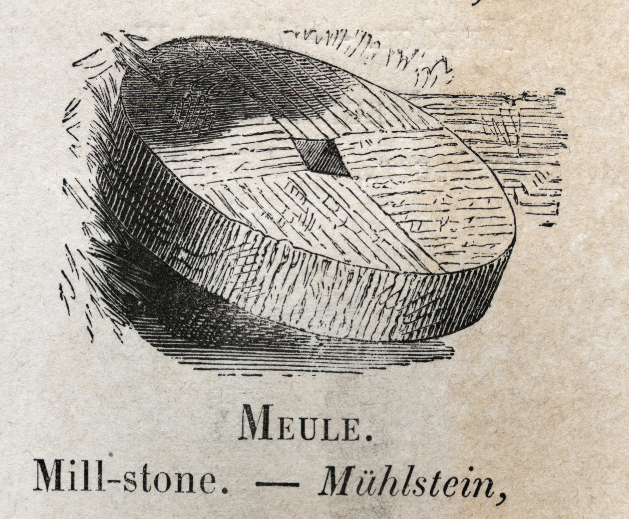 Møllesten i "" ordforrådet illustrerer almindelige ord"" af Armand Le-Brun. 1890 af French School