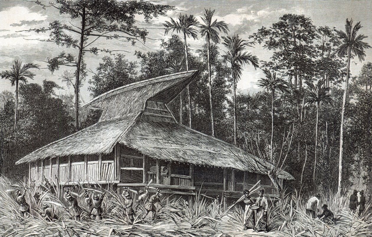 Moske i Dodinga, New Guinea, illustration fra magasinet Le Tour du Monde, 1879 af French School
