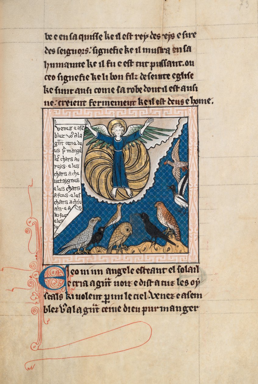 Ms65 f73r, Commentary on the Apocalypse of St John, slutningen af det 13. århundrede (pen & blæk og tempera på vellum) af French School