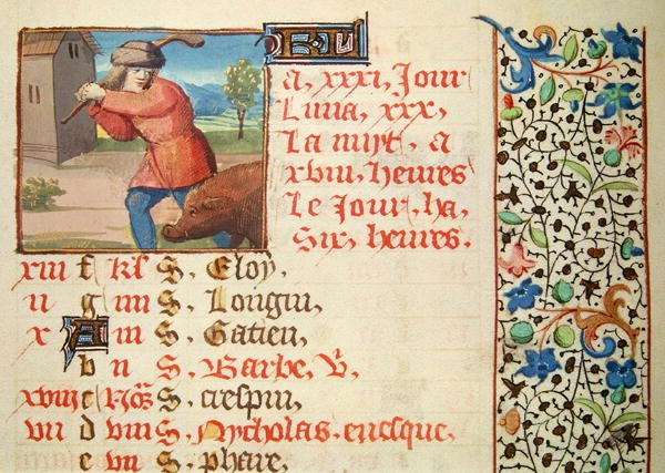 Fru 134 december: Slagtning af en gris fra en timebog af French School