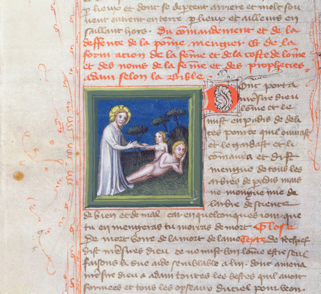 Ms 313 Creation of Eva, fra Bible des Grands Augustins, 1494 af French School