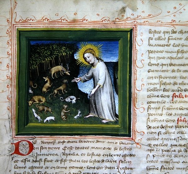 Ms 313 Creation of the Animals, fra Bible des Grands Augustins af French School