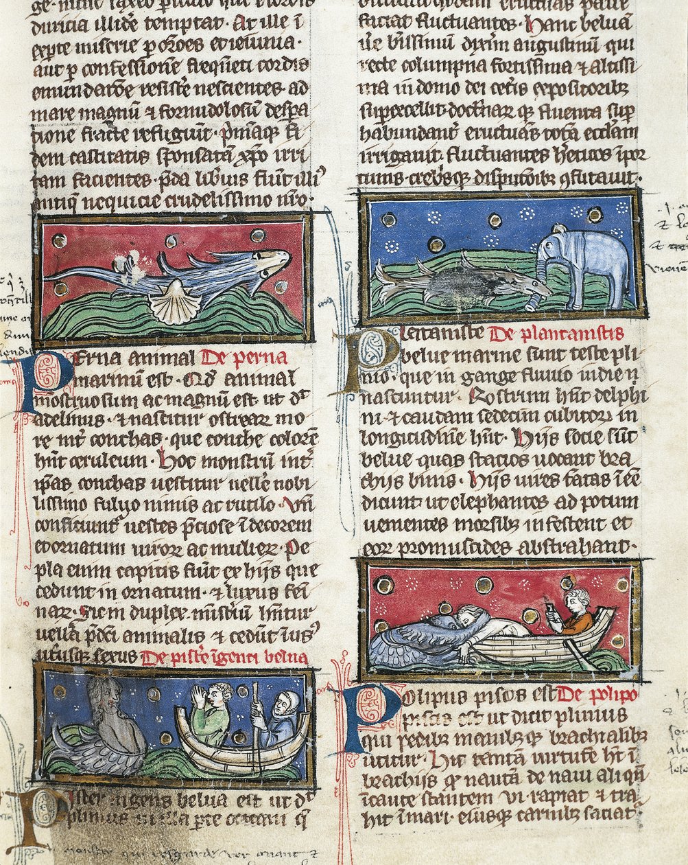 Ms 320 Fol.116 Sea Monsters, fra 