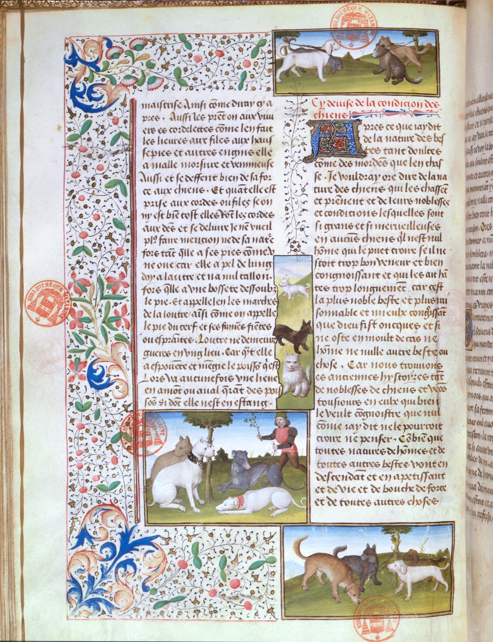 Ms 3717 Jagthunde, fra Livre de la Chasse af Gaston Phebus de Foix (1331-91) (vellum) af French School