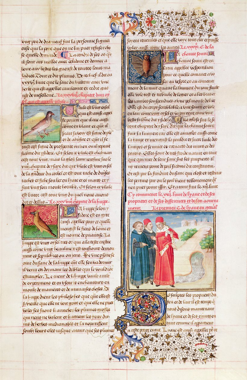 Ms 399 fol. 149 Skildpaddens, løkkens og flagermusens egenskaber fra 