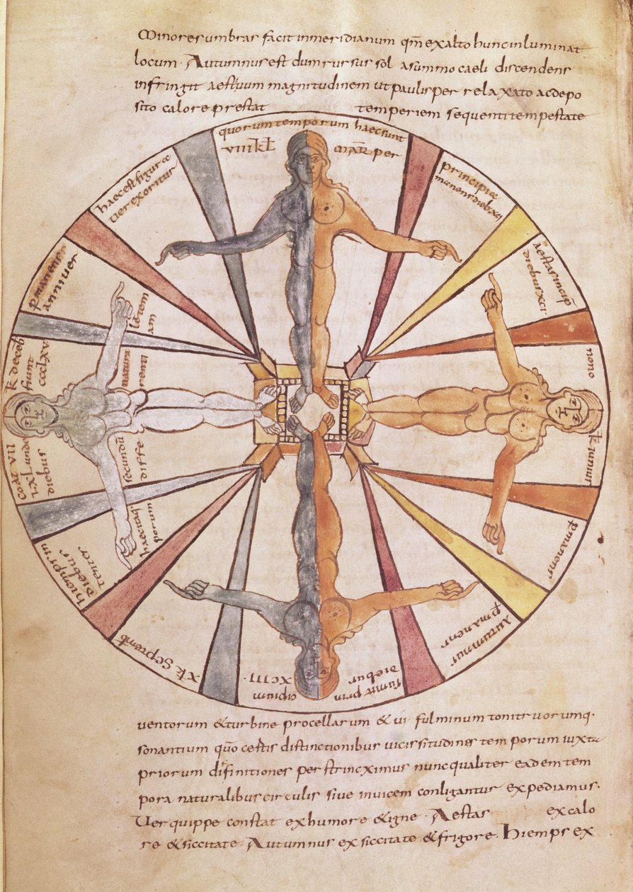 Ms 422 fol.6v Årstidernes og månedernes hjul, fra De Natura Rerum af St. Isidore af Sevilla af French School