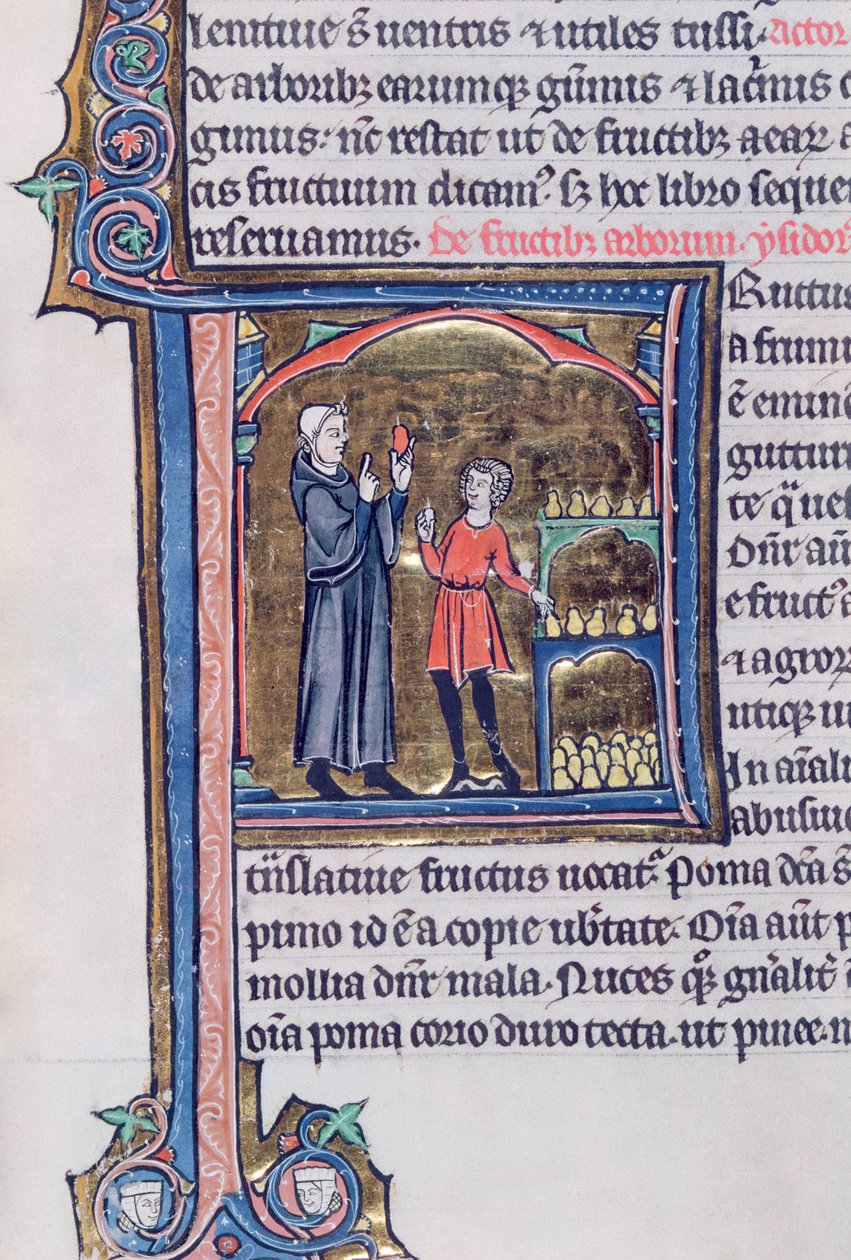 Ms 426 fol.135 Undervisning i den bedste måde at bevare pærer på, fra Le Miroir de la Nature af Vincent de Beauvais af French School