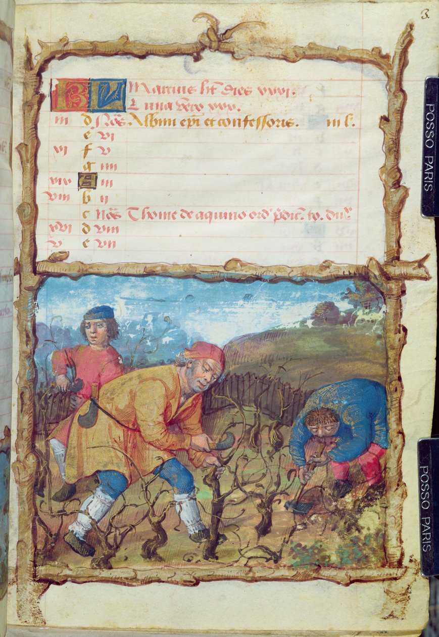 Ms 438 Marts måned: Beskæring af vinstokke, fra en timebog, 1490 af French School