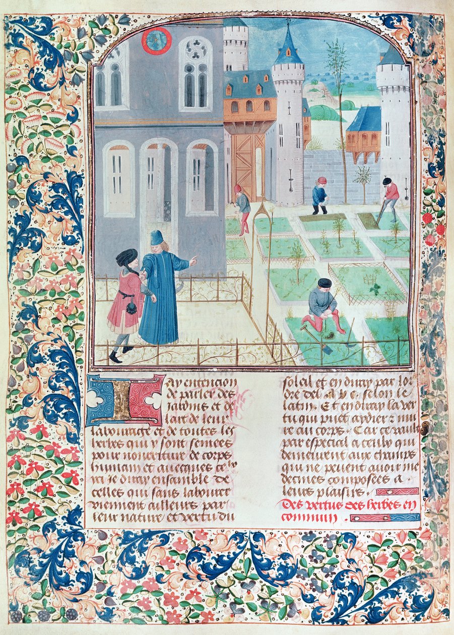 Ms 5064 f.151v The Garden, illustration fra Le Livre des Prouffitz Champestres af Pietro de Crescenzi (1230-132021) af French School