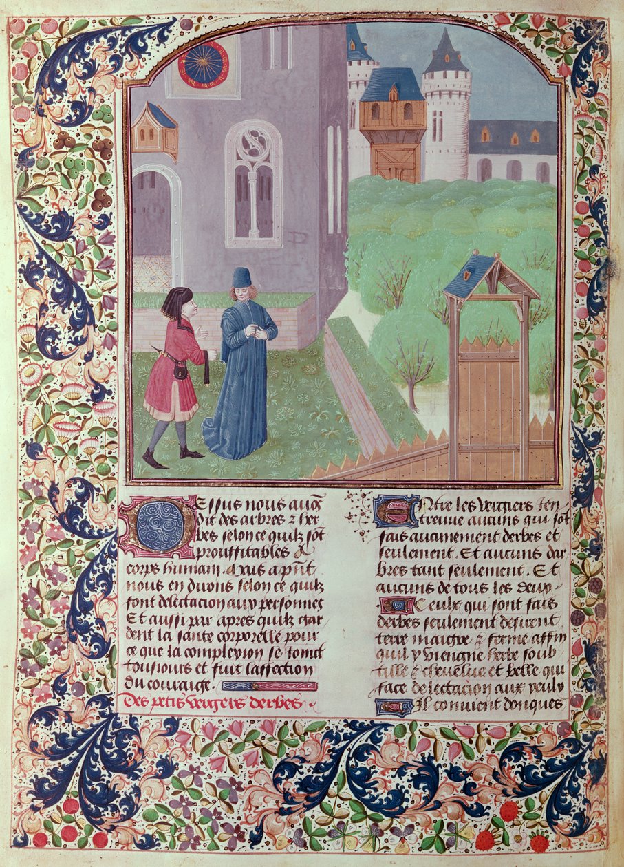 Ms 5064 f.202v The Orchard, illustration fra Le Livre des Prouffitz Champestres af Pietro de Crescenzi (1230-132021) af French School
