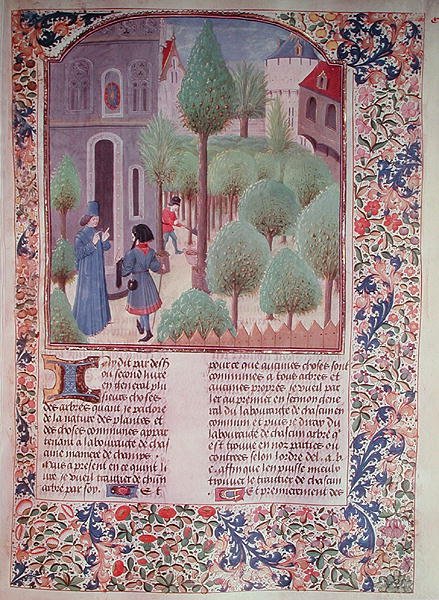 Ms 5064 fol.105r Plantning af træer, fra Livre des Prouffitz Champestres af Pietro de Crescenzi (1230-132021) af French School