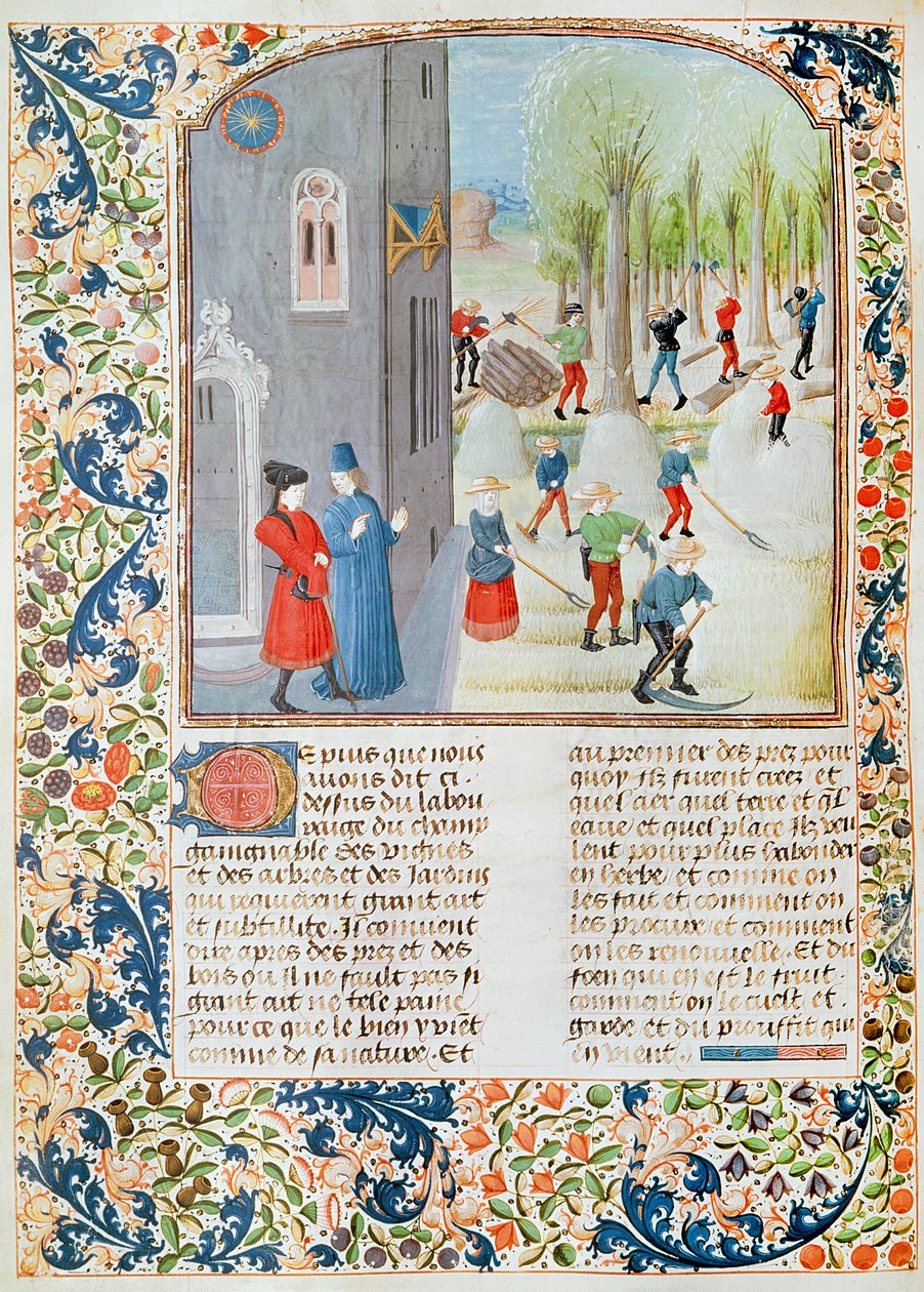 Ms 5064 fol.198v skæring af træer og høst, fra Livre des Prouffitz Champestres af Pietro de Crescenzi (1230-132021) af French School