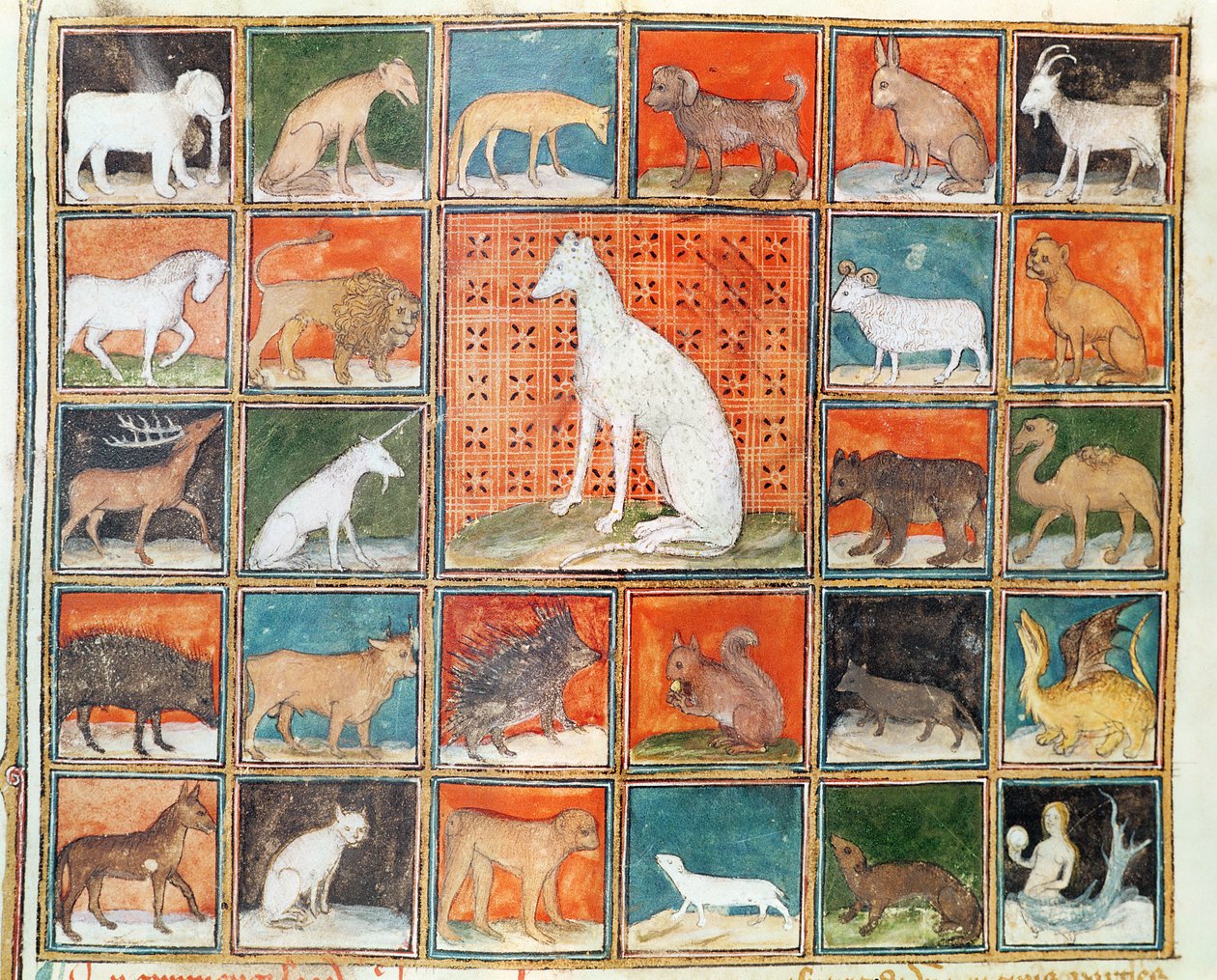 Ms 993 fol.254v Dyrenes egenskaber: pattedyrene, fra Le Livre des Proprietes des Choses af Jean Cordichon af French School