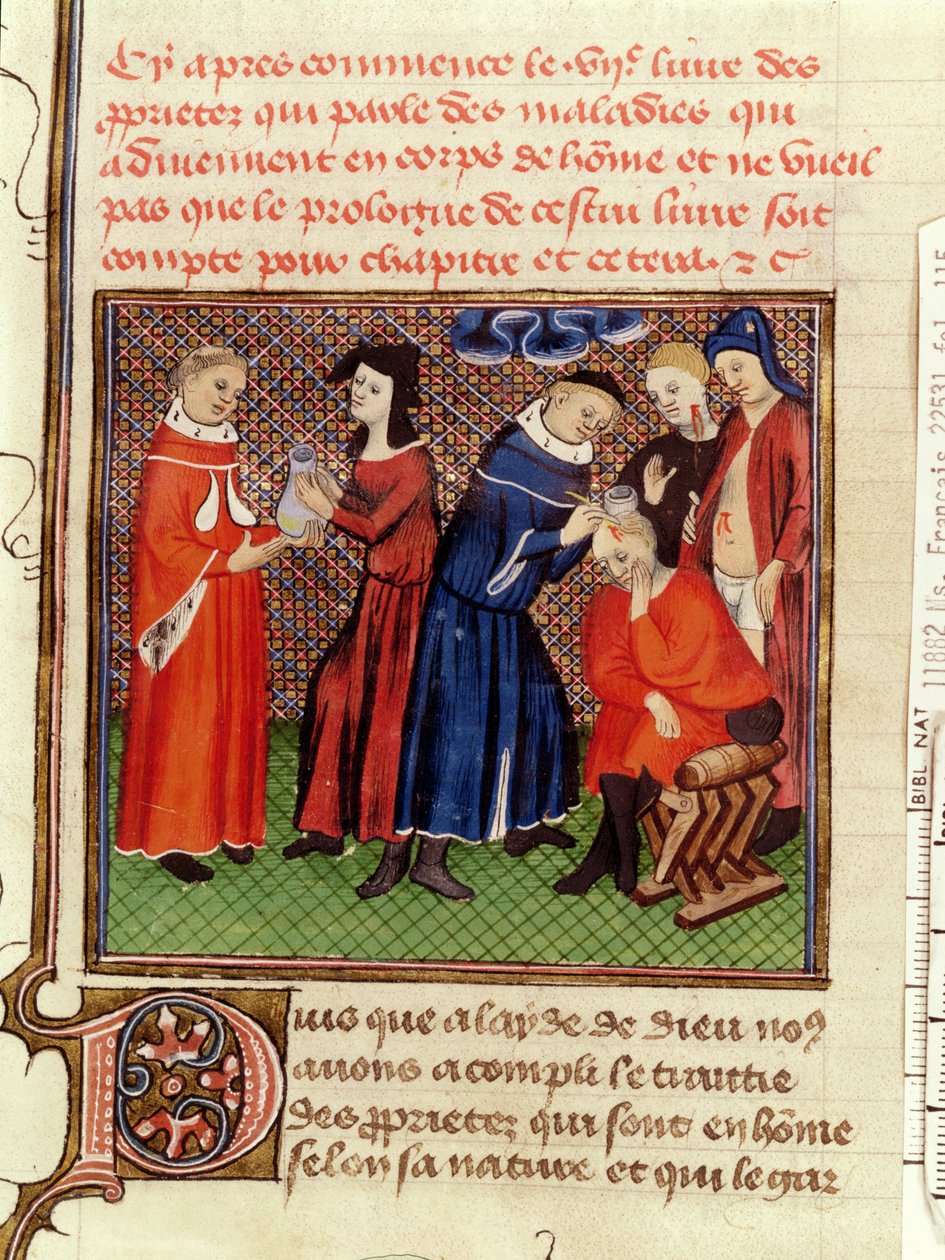 Ms Fr 22531 Fol.115 Urinundersøgelsen og heling af sår, fra Le Livre des Proprietes des Choses af Barthelemy lAnglais, ca. 1410-15 af French School