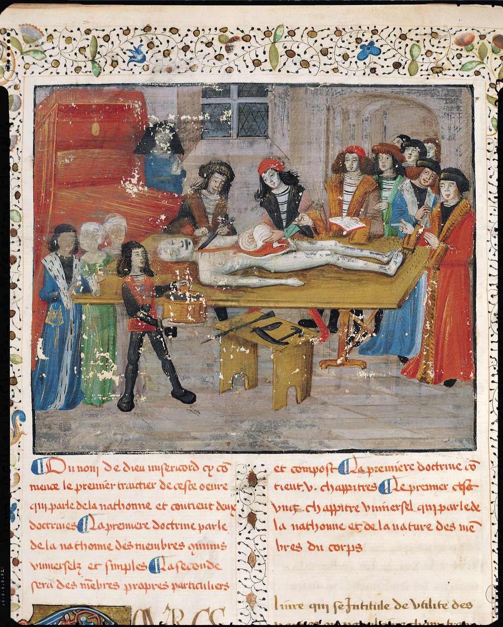 Ms H 184 fol.14v Dissektionslektion på det medicinske fakultet i Montpellier, fra "La Grande Chirurgie" af Guy de Chauliac, 1363 af French School